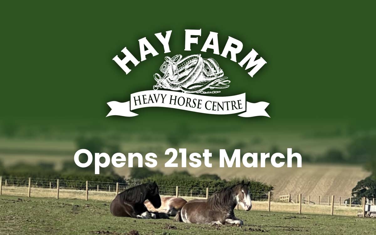 Hay Farm news Open 21st March 2023