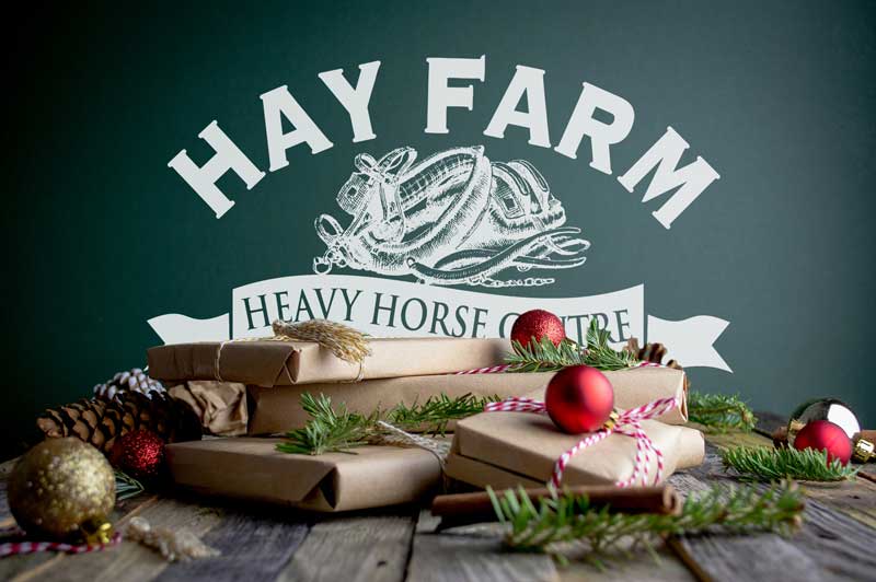 Christmas Fayre 2025 Stallholder Sign-Up Now Open!